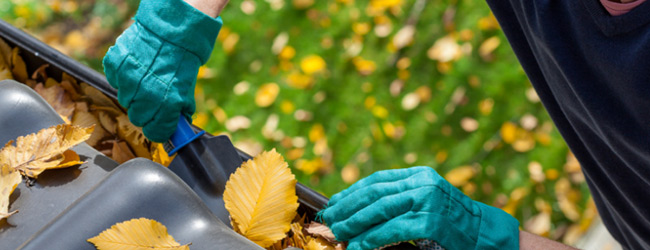 Person cleaning their gutters